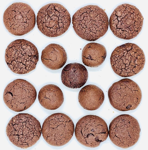 Cookie_GARY_FMB_IGBAS_BISCUIT